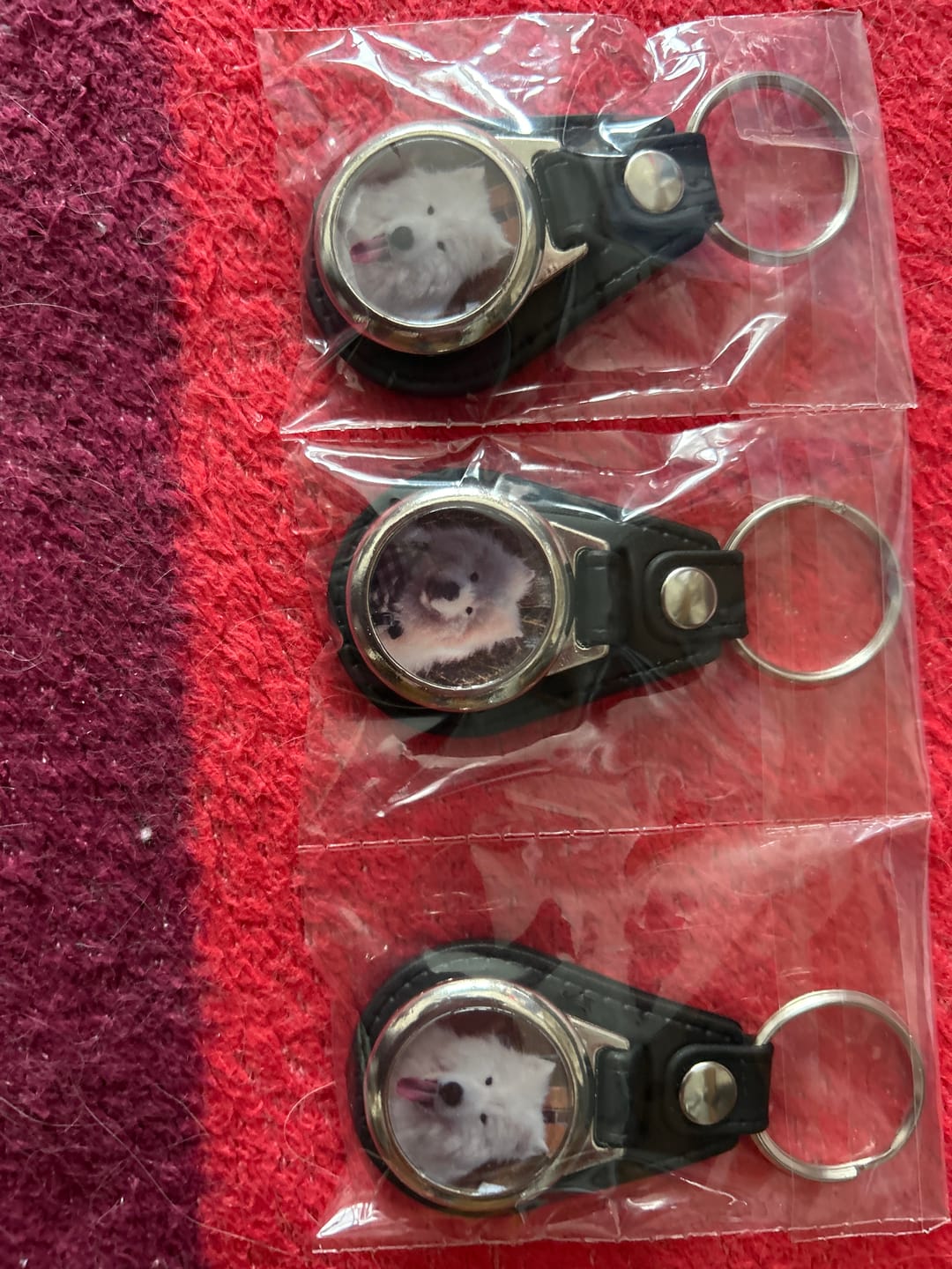 Customer photo review of Schlüsselanhänger-Bundle Leder 3x dein Foto für nur 19,90 €
