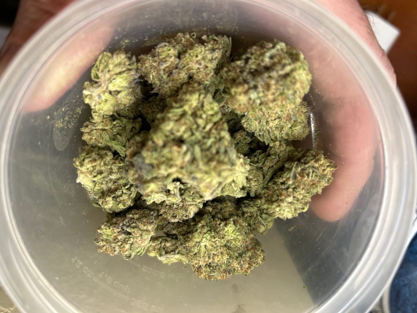 Customer photo review of Hella Jelly - Bulk  - Sativa
