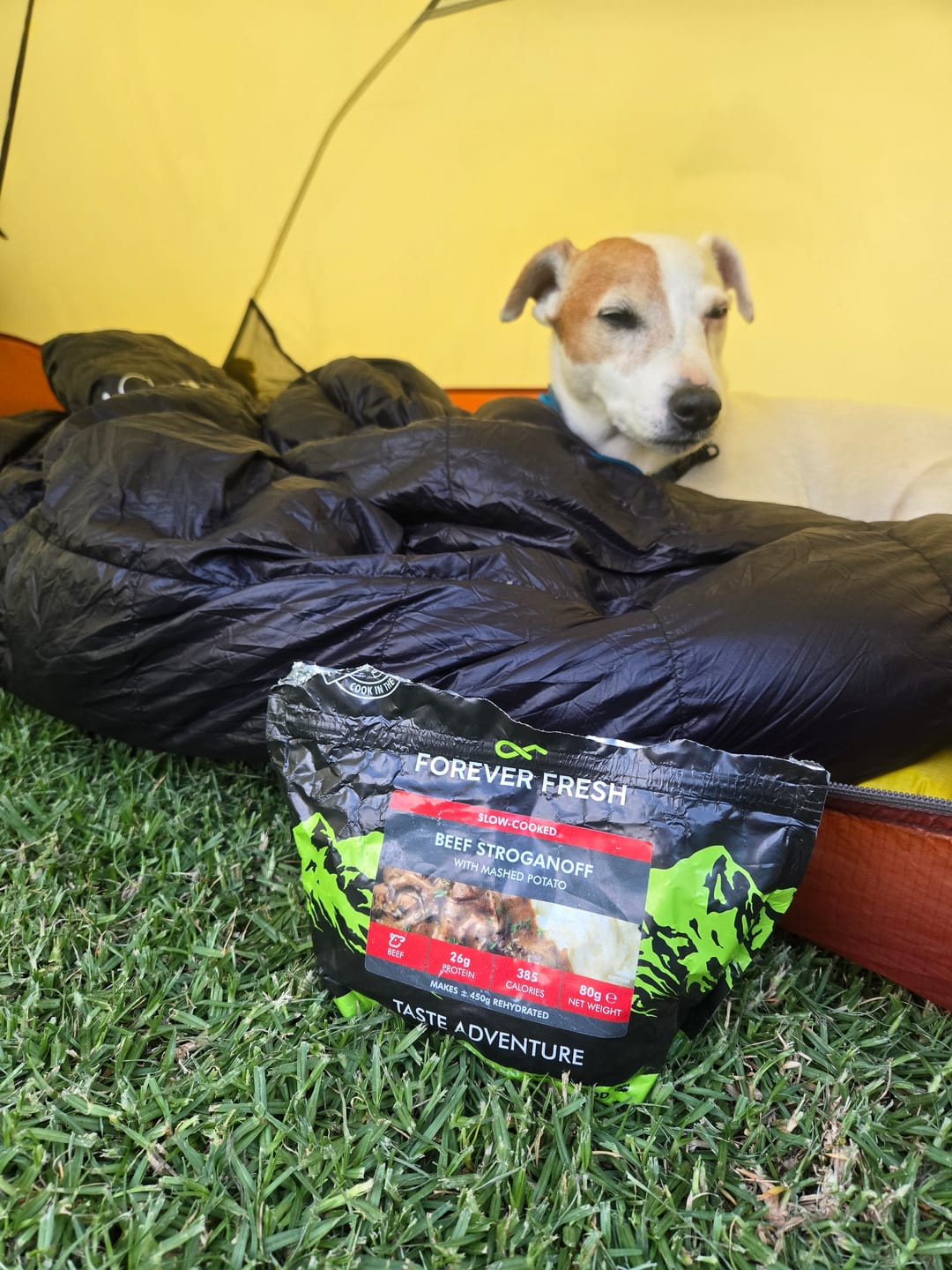 Customer photo review of Free-Range Beef | 5-Meal Adventure Pack