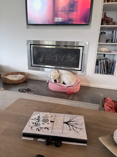 Customer photo review of Small Luxury Dog Bed - Interior/Outdoor