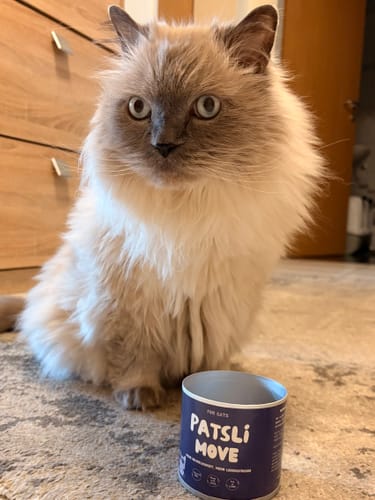 Customer photo review of Patsli® Move