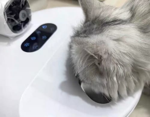 Customer photo review of Furdear Europa E1 Refrigerated Wet Food Feeder