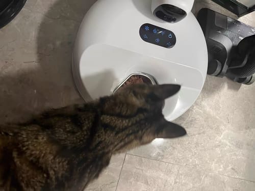Customer photo review of Furdear Europa E1 Refrigerated Wet Food Feeder
