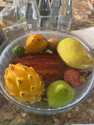 Customer photo review of Tropical Variety Box