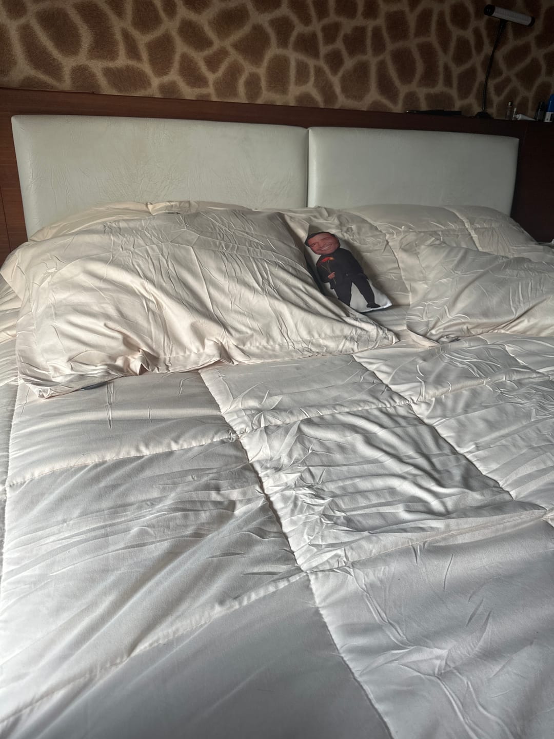 Customer photo review of Cobertor De Lujo King - Super King - Soft Touch Linea Hotel