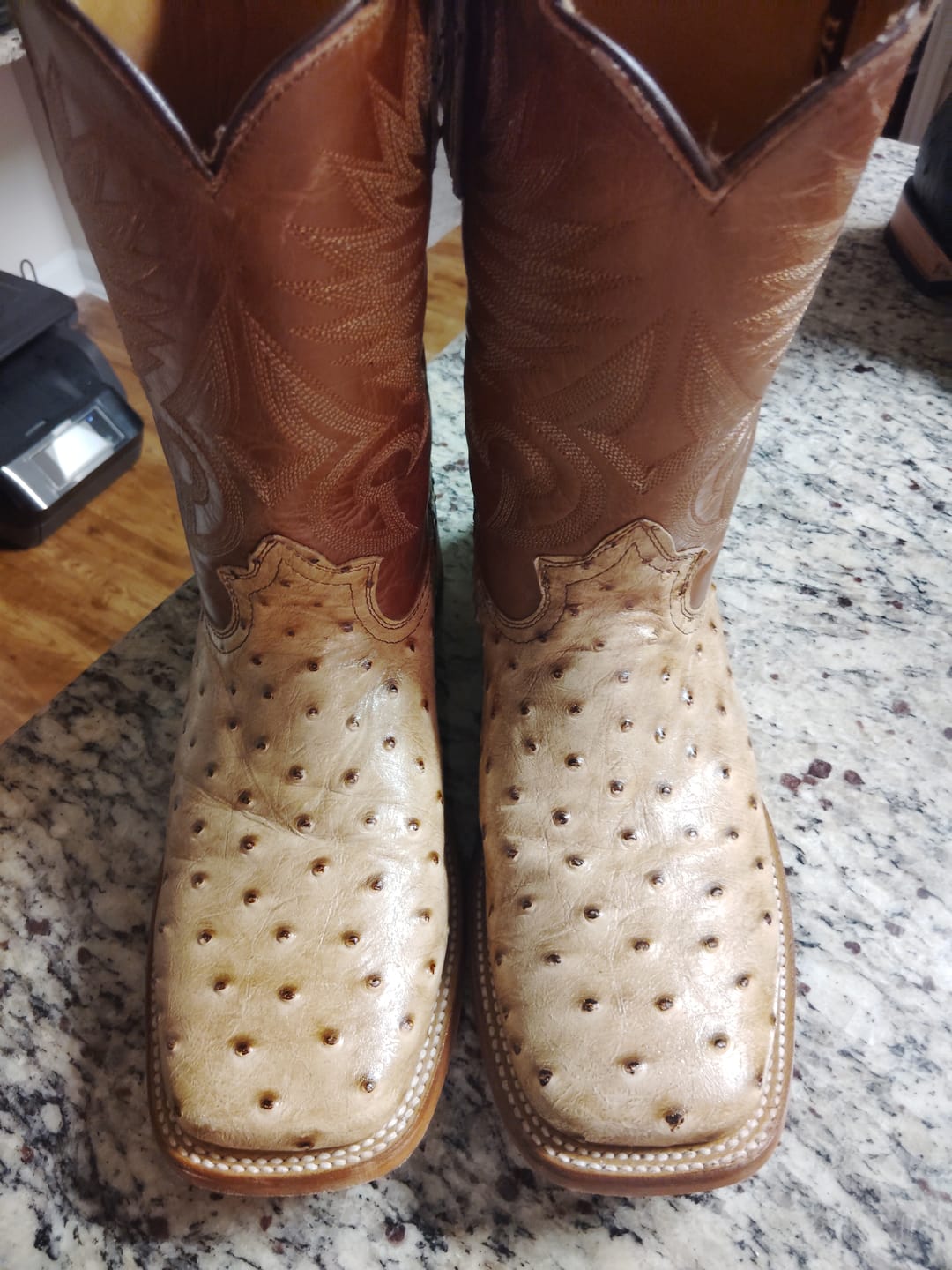 Customer photo review of Cowboy Boot Ranch Ostrich Orix