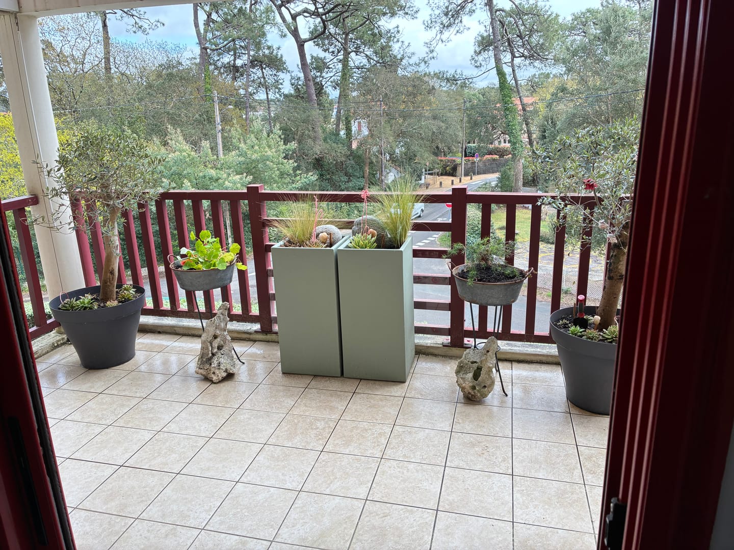 Customer photo review of Pot - Cosmos Colonne