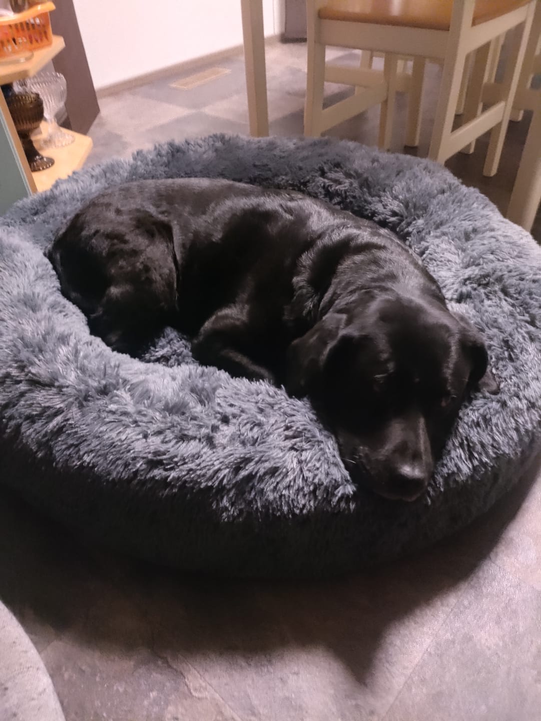 Customer photo review of CalmBed – Ehkäisee stressiä ja lievittää ahdistusta