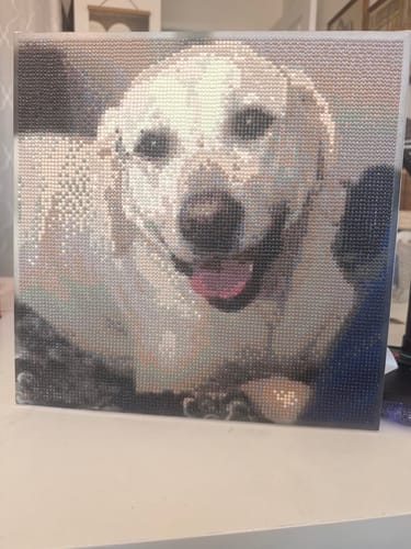 Customer photo review of Diamond Painting - Custom Photo
