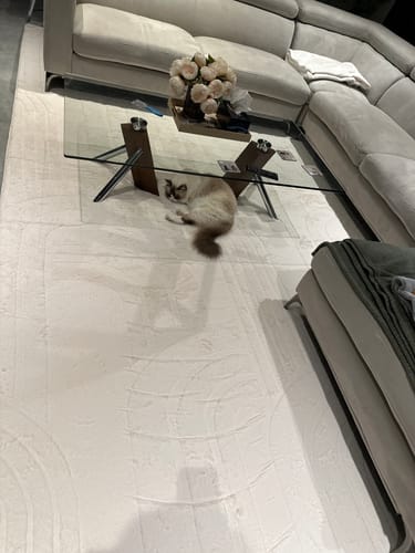 Customer's cream Mellow Mat in a living room, with their cat resting on the soft rug under a coffee table.