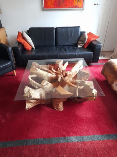 Kunde zeigt den Wurzel-Couchtisch NAGA mit Glasplatte in einem Wohnzimmer auf einem leuchtend roten Teppich.