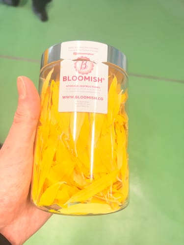 Customer holding a clear jar filled with large, bright yellow freeze-dried sunflower petals.