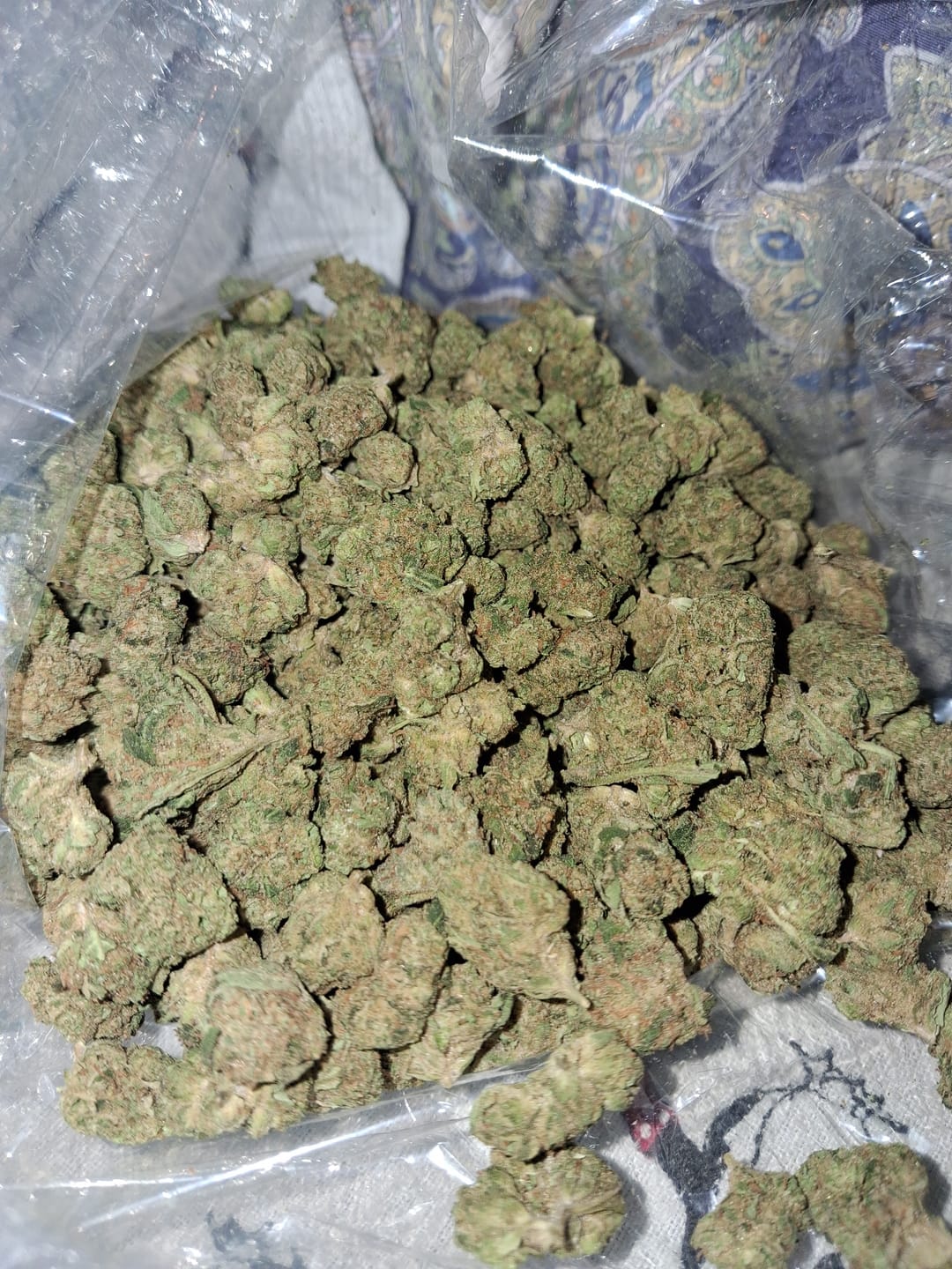 Customer photo review of Cookies and Cream Minis - Bulk Minis - Hybrid