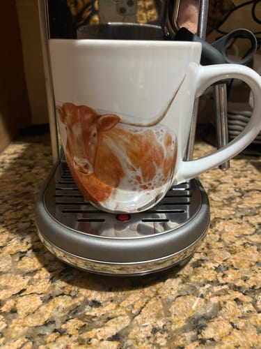 Customer photo review of Longhorn Mug