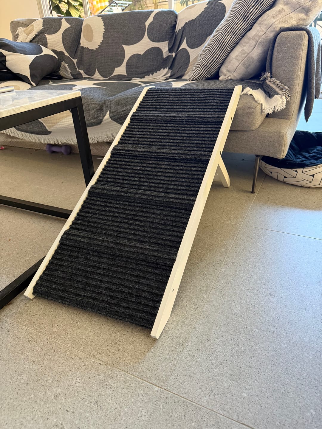 Customer photo review of Adjustable Height Dog Ramp