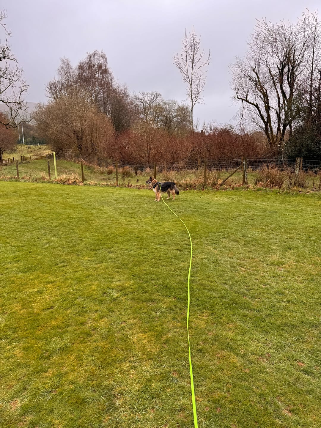 Customer photo review of 10m Recall Billowthane® Lead | Waterproof | Neon Green
