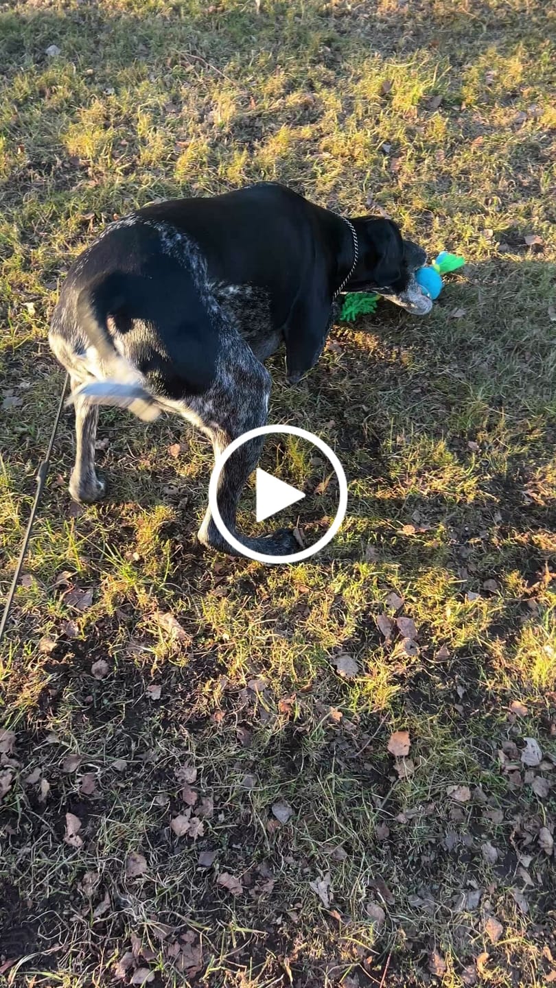 Customer video review of Utdragbar Flirtpole