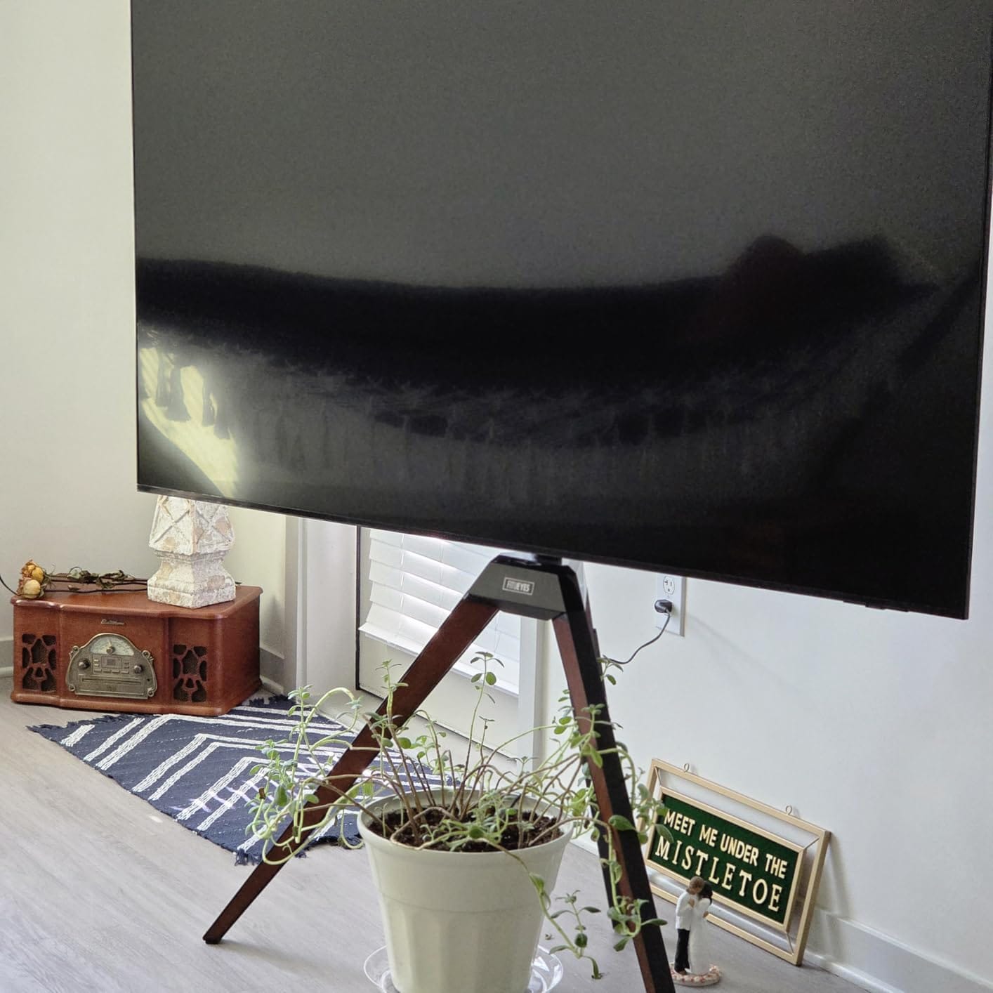 Customer photo review of Picasso FT65 Floor TV Stand