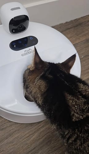 Customer photo review of Furdear Europa E1 Refrigerated Wet Food Feeder