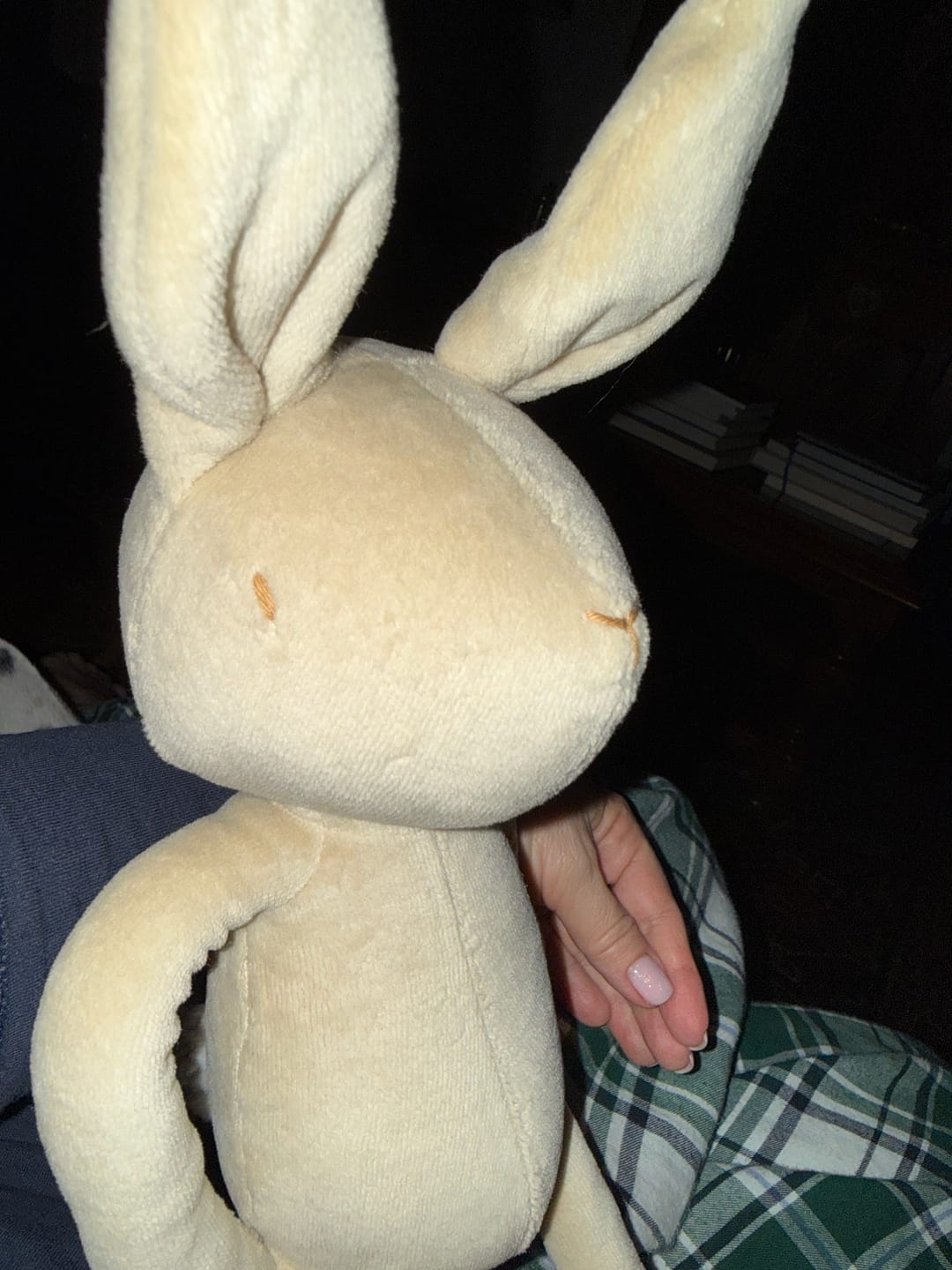 Customer photo review of DANIEL LE LAPIN - M/L