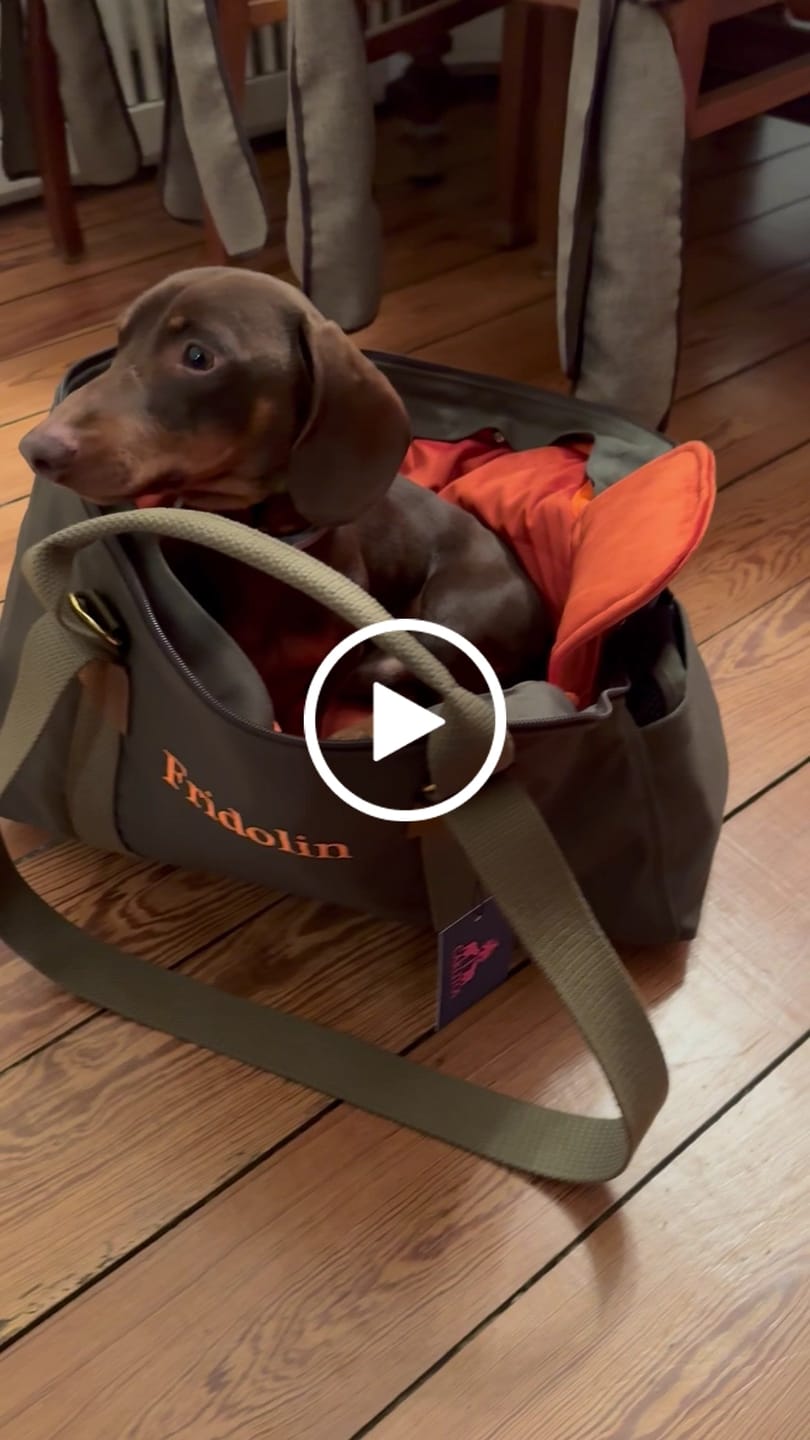 Customer video review of Transport Hundetasche DESIGN YOUR OWN