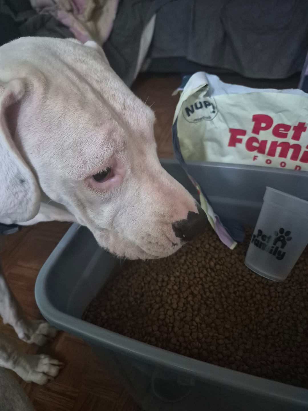 Customer photo review of PetFamily Foods Cachorros