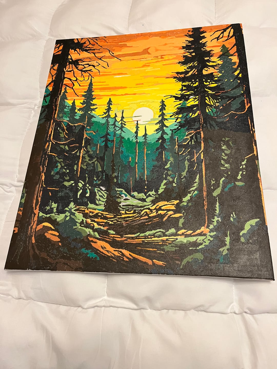 Customer photo review of Tall Trees Forest