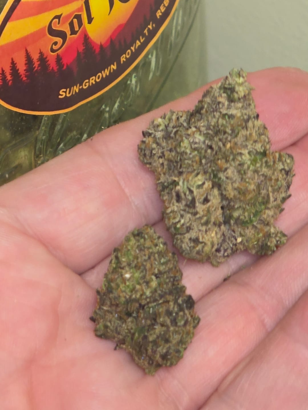 Customer photo review of Mochi Gelato - Bulk - Indica