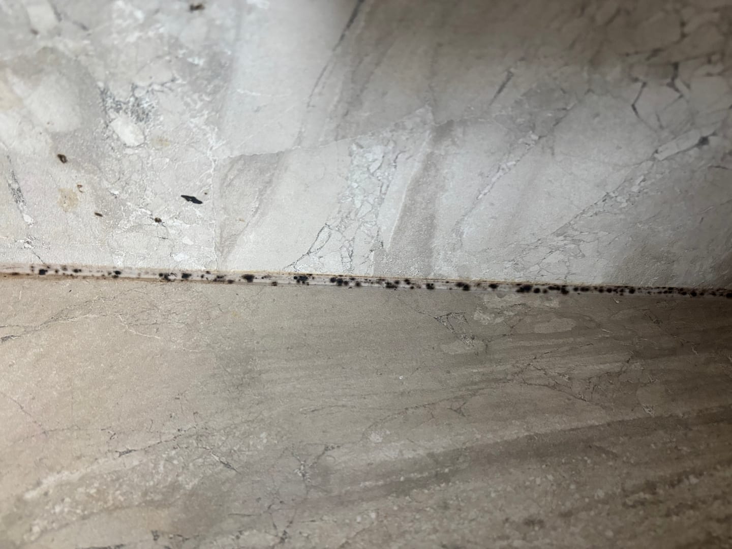 Customer photo review of GLASSGUARD® Miracle Mould Removal Gel