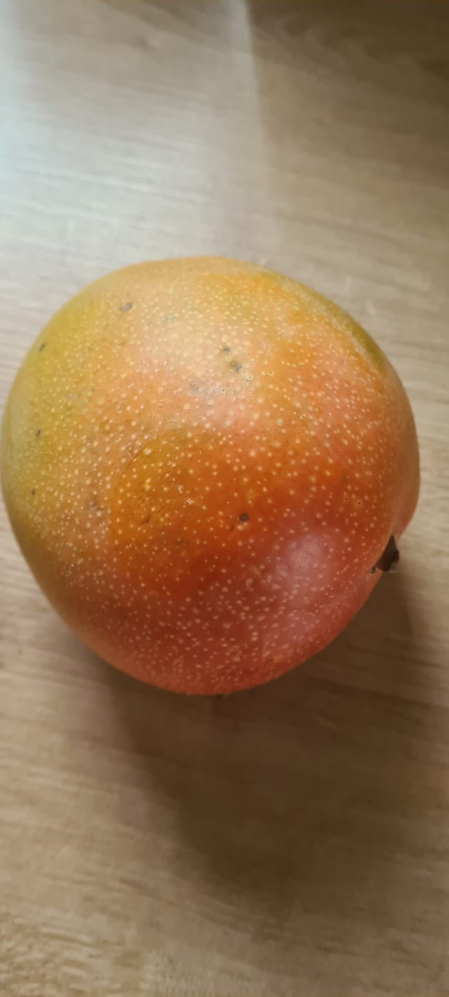 Customer photo review of Mango Kent Premium Bio von Karina baumgereift