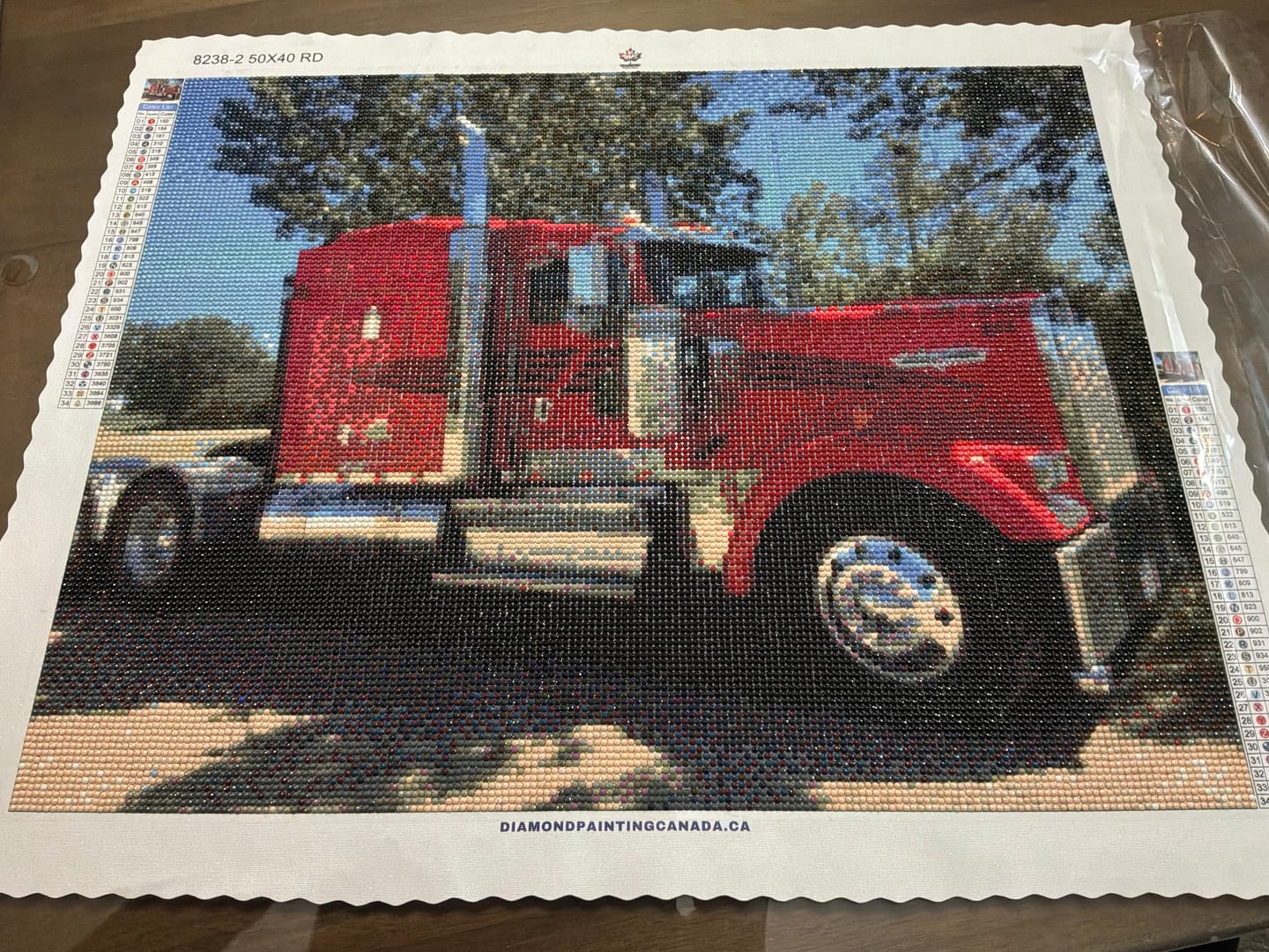Customer photo review of Custom Diamond Painting