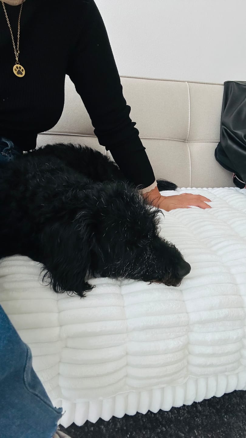 Customer photo review of Majestuoso · Protector Premium para Sofá
