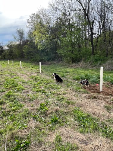 Customer photo review of Gift Certificate