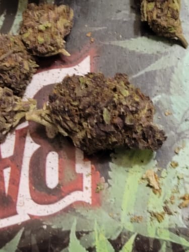 Customer photo review of Granddaddy Purple - 28 Grams - Indica