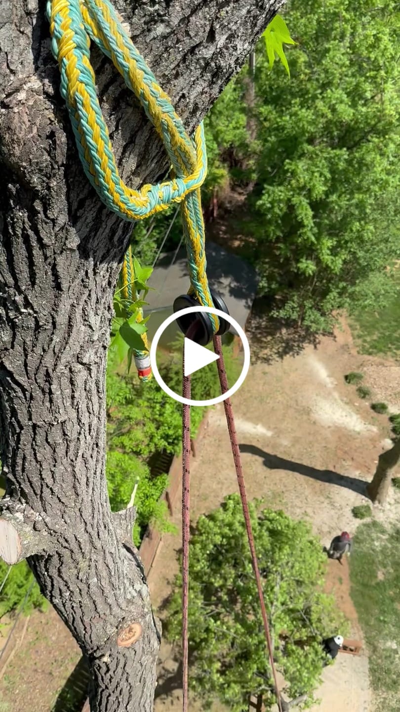 Customer video review of 3/4" Arbo Space LPX Pluto Multi Ring Sling