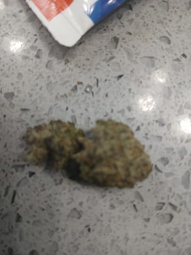 Customer photo review of Cranberry Kush - Bulk - Hybrid