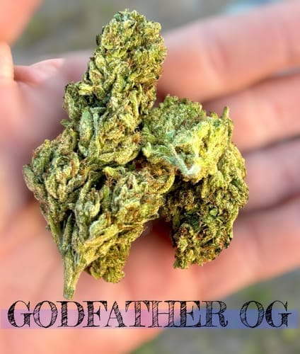 Customer photo review of Godfather OG - 28 Grams - Indica