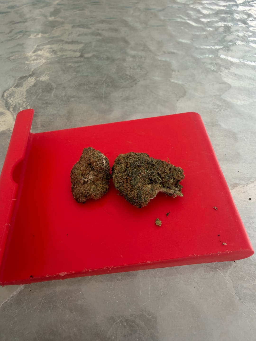 Customer photo review of Biscotti 26 Grams