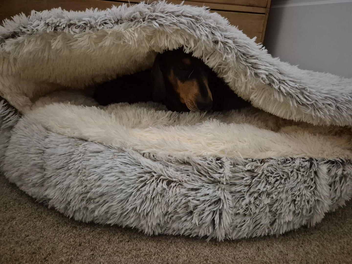 Customer photo review of Snuggle Cave