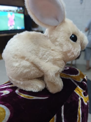 ぴょんぴょんウサギに関するお客様の写真付きレビュー