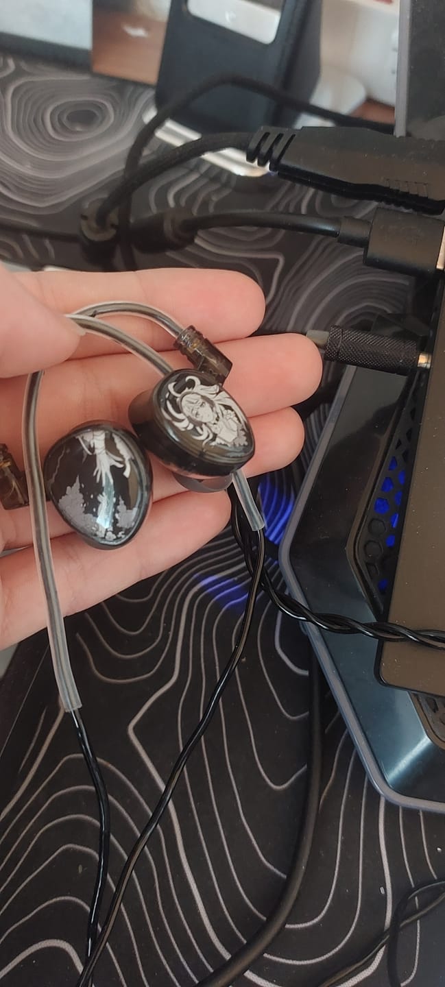 Customer photo review of Wraith evoX IEM Kulaklık