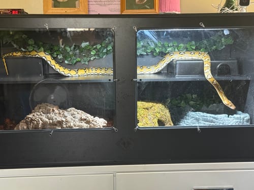 Customer photo review of XT4 BIO24 (48Lx24Dx24H) - STACKABLE