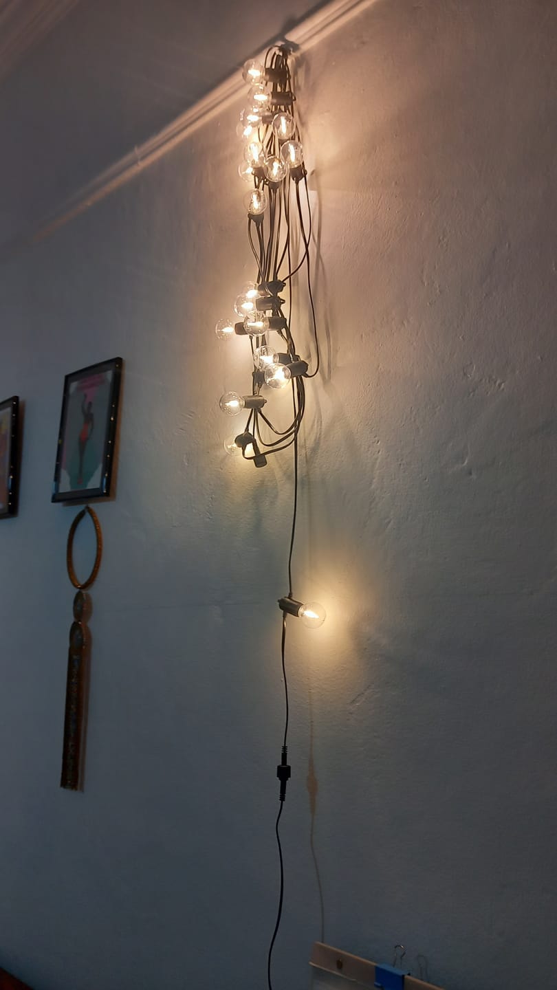 Customer photo review of Plug-In Mini Bulb String Lights