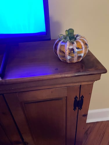 Customer photo review of Orange Blossom, The Giving Pumpkin