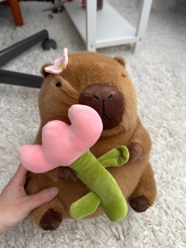Customer photo review of Capybara Bread & Flower Plush Toy