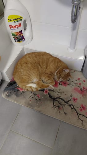 Kundenfoto: eine orange Katze schläft eingerollt auf einer Matte im Badezimmer.