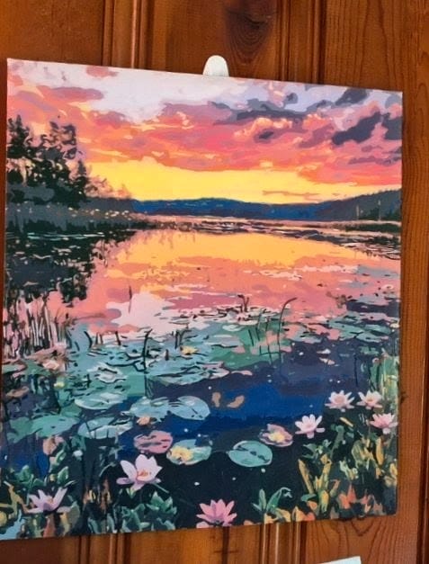Customer photo review of Lily Sunset