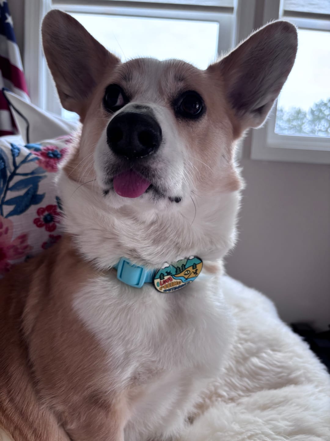 Customer photo review of Peeing Outdoors Jiby Dog Charm