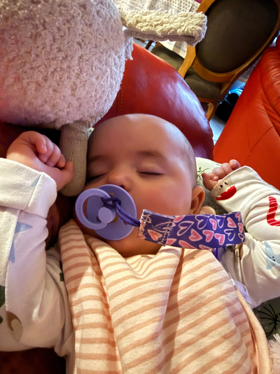 Customer photo review of BIBS Colour Pacifiers / Dummies - Hush