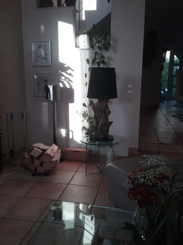 Kunde zeigt die rustikale Wurzelholz-Tischlampe IKAL in seinem Wohnzimmer.